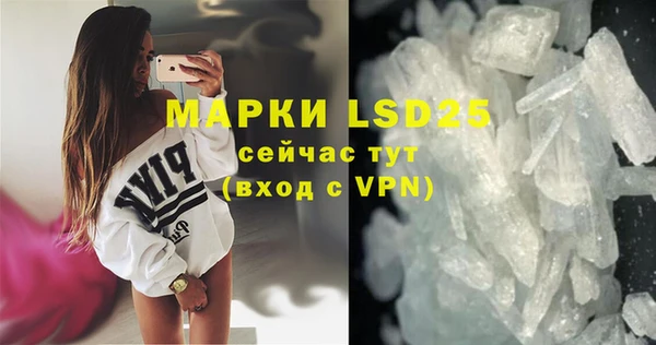прущие грибы Киренск