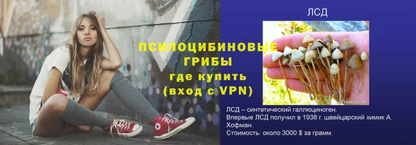 эйфоретик Козловка