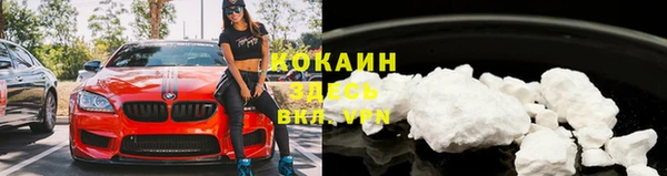 прущие грибы Киренск