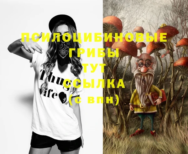 стафф Карпинск