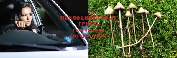 круглые Козельск