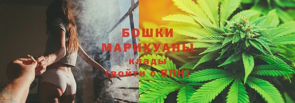 прущие грибы Киренск