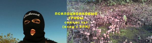 а пвп мука Тавда