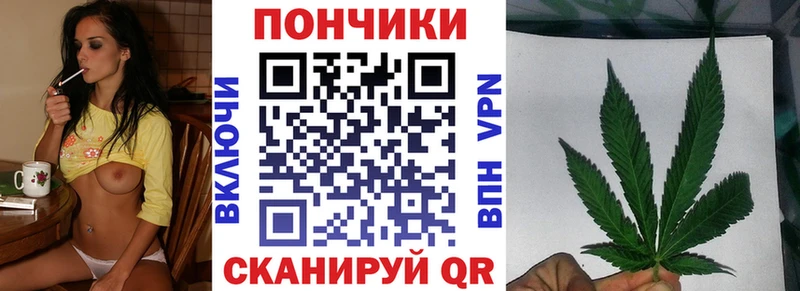 Бошки марихуана сатива  omg маркетплейс  Белгород  где продают наркотики 