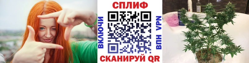 Каннабис Amnesia Белгород